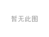 刹车盘 Brake Disc:24510381